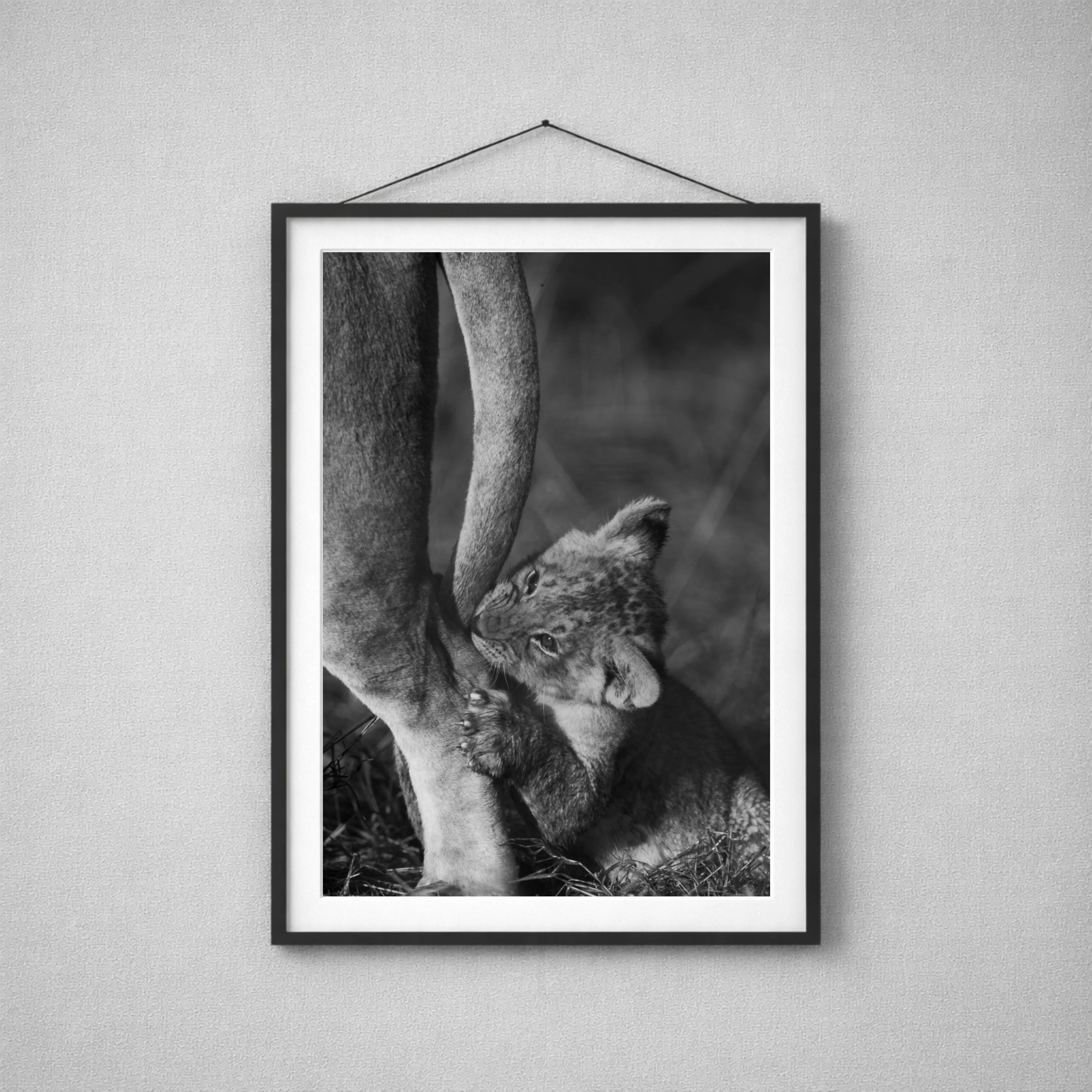 Soft Mischief