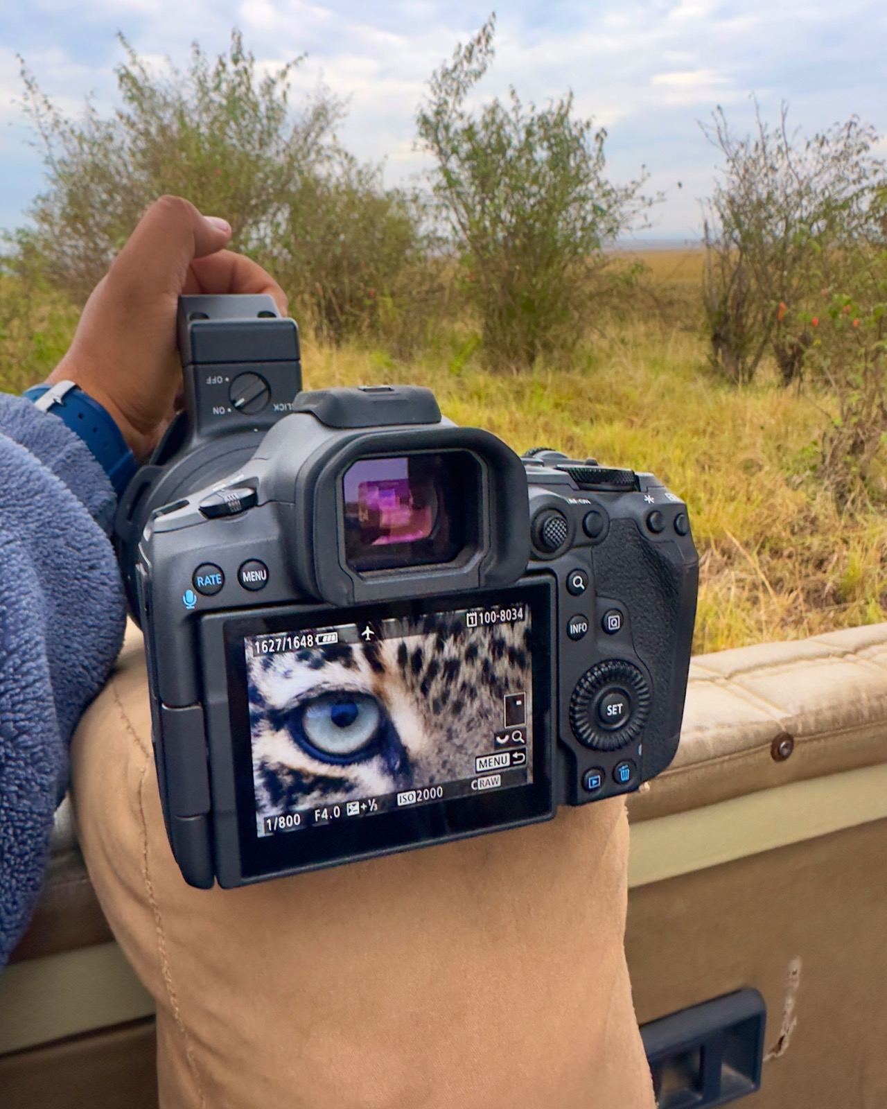 Reviewing a frame on the back of the camera — a leopard's eye, held at 1/800, f/4.