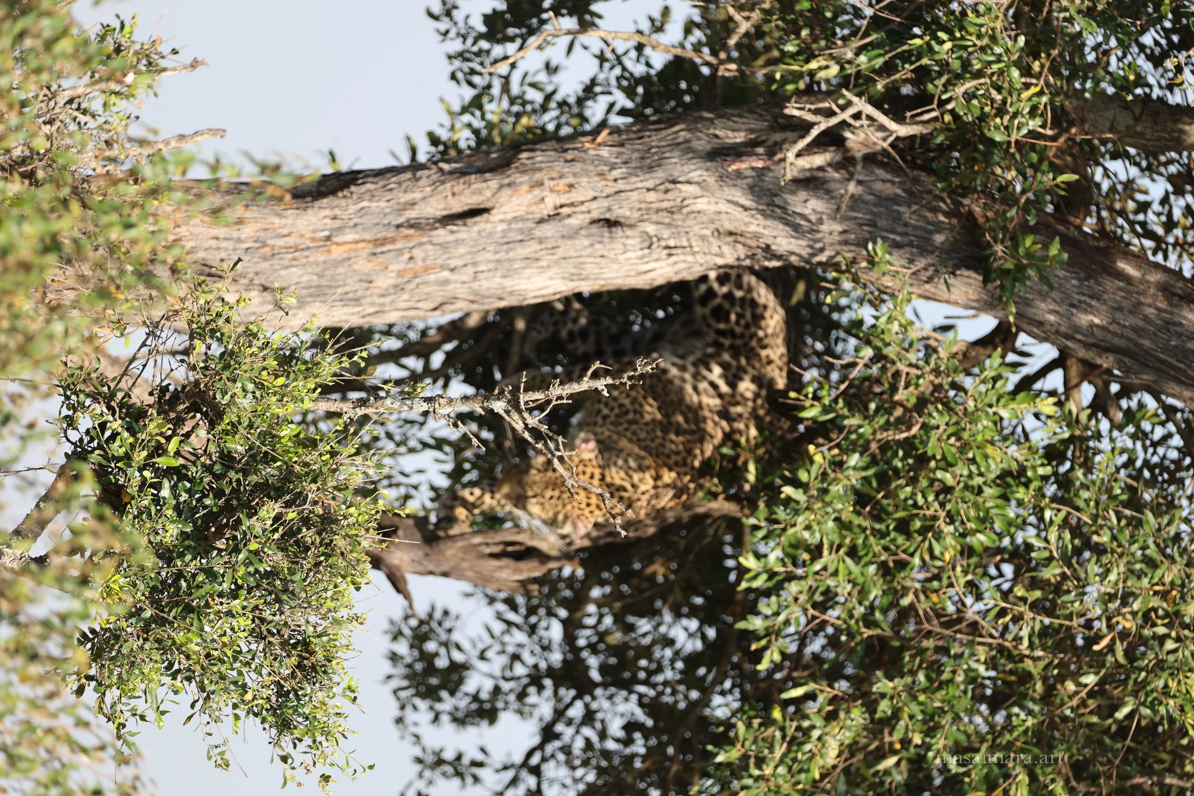Cache — frame 14