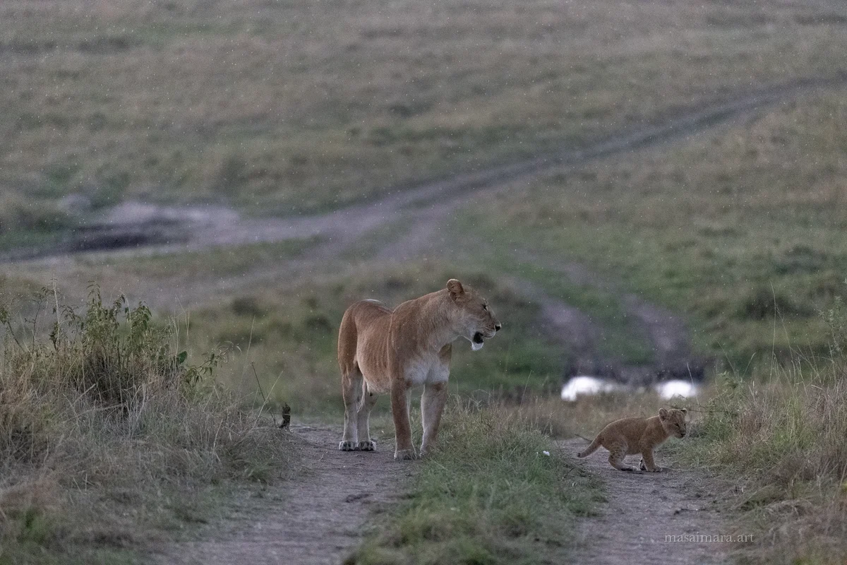 Sisters — frame 13