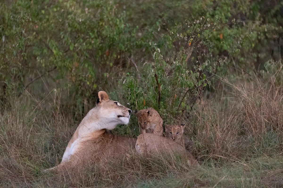 Sisters — frame 14