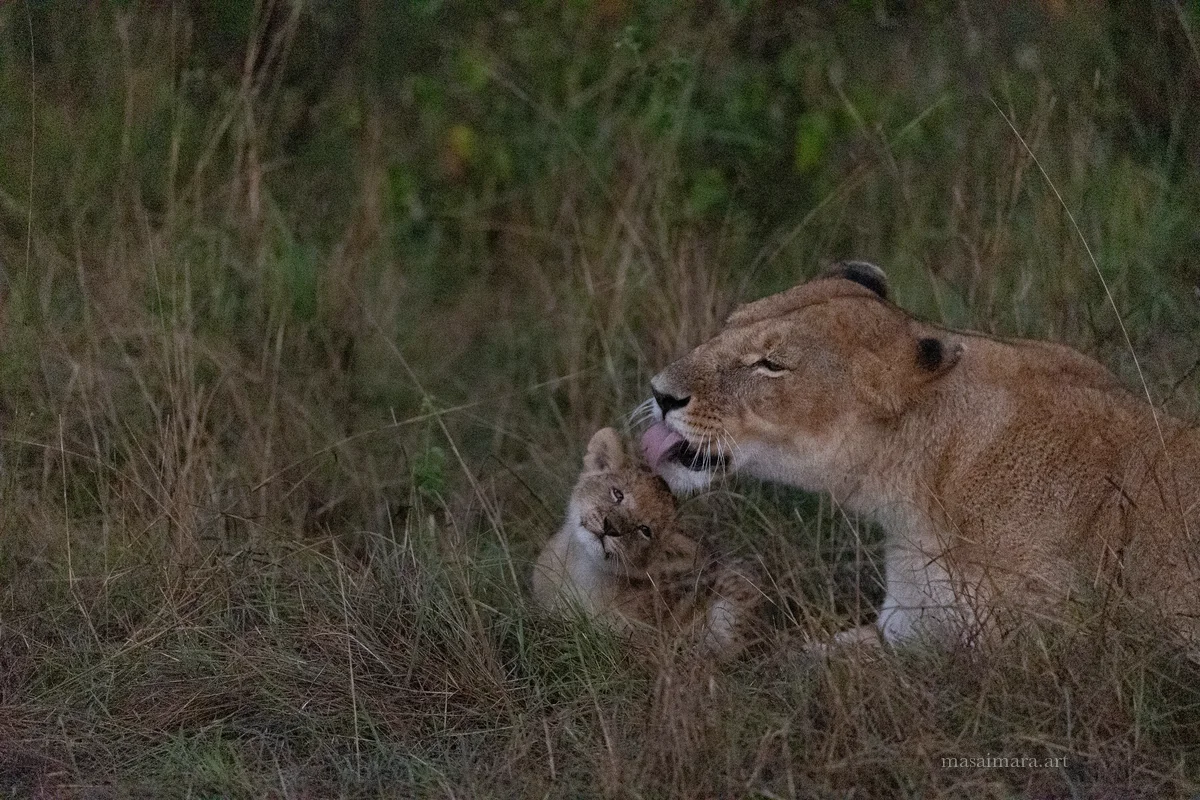 Sisters — frame 15