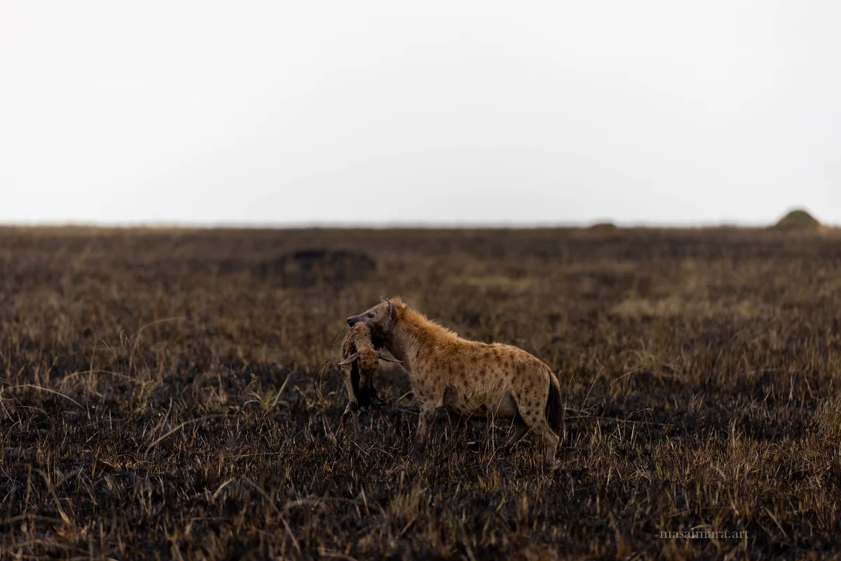 The Burn — frame 13
