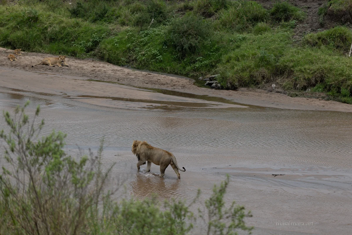 The Sandbar — frame 08