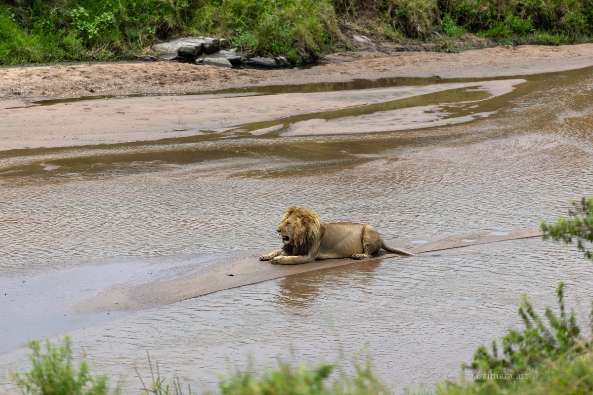 The Sandbar — frame 09