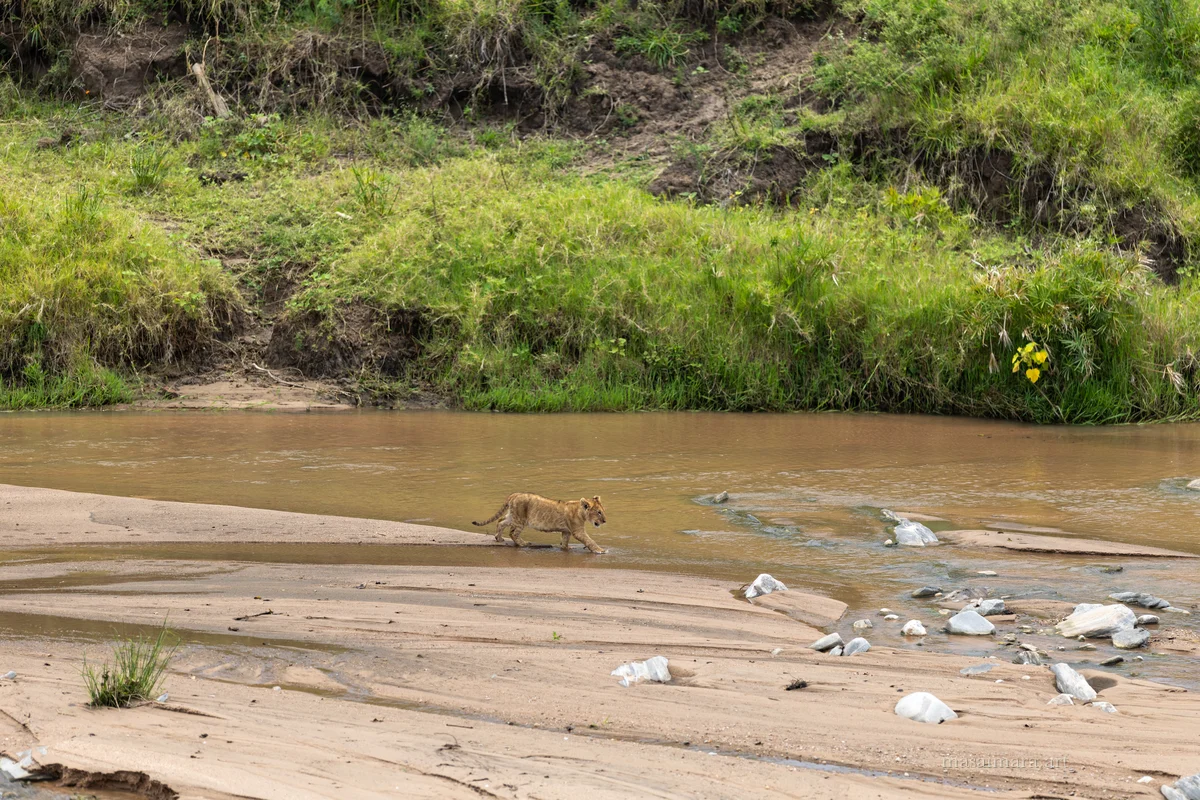 The Sandbar — frame 12