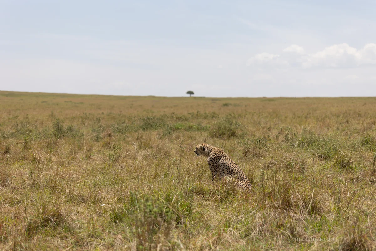 The Sprint — frame 04