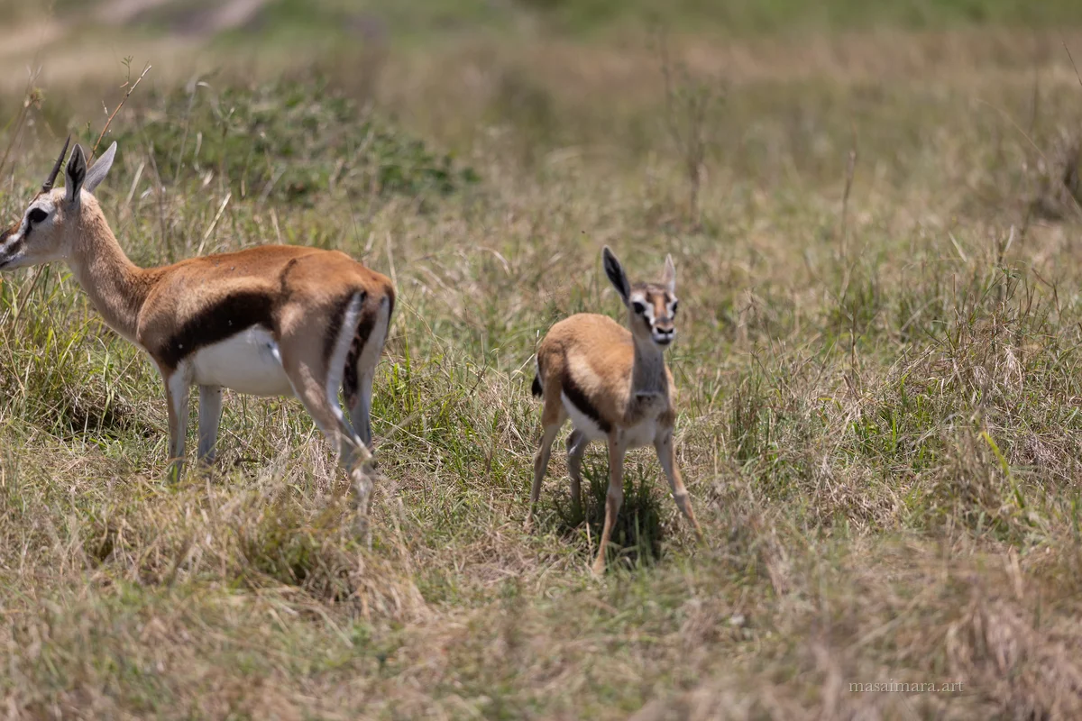 The Sprint — frame 06