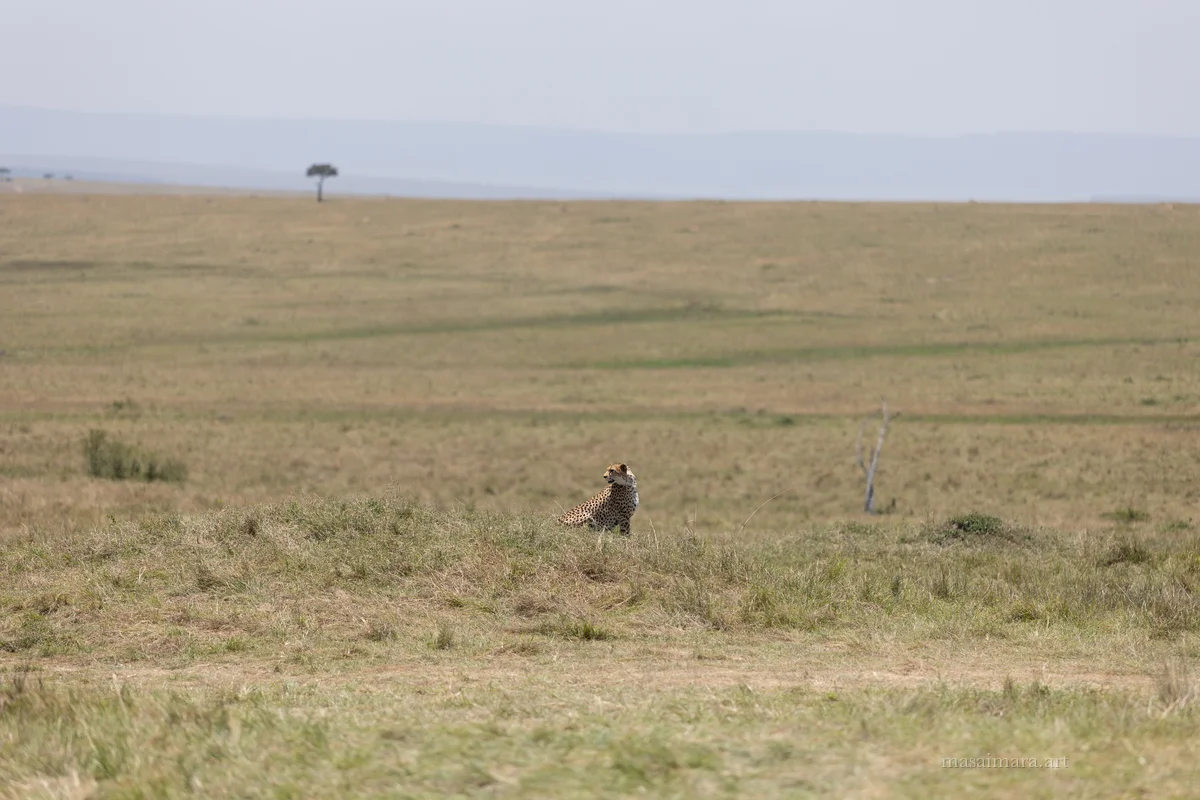 The Sprint — frame 07