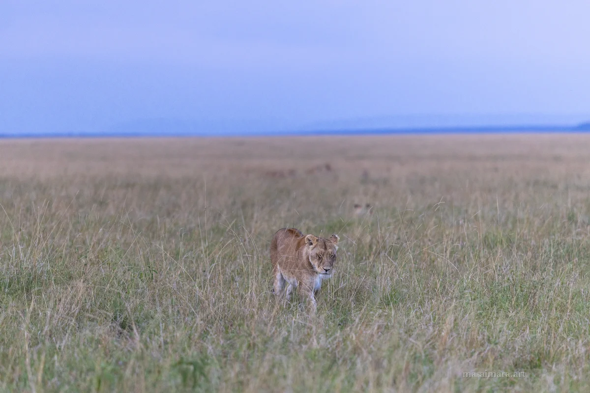 Walking Out — frame 10